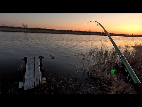 Видео: УДОЧКА в ДУГУ! Они прут на ПОПЛАВОК, КОРОМЫСЛО и МОРМЫШКУ! Вот это открытие!