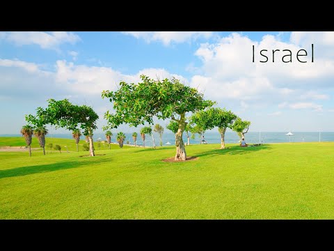 Видео: Самая красивая и приятная прогулка от Яффо до Бат-Яма.