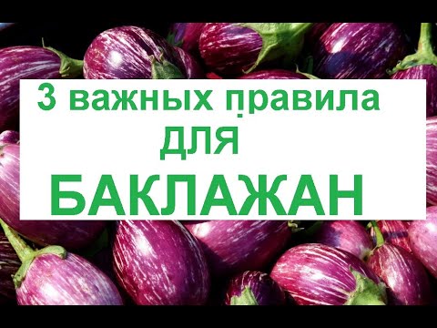 Видео: Формирование баклажан в теплице и открытом грунте