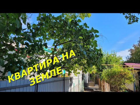 Видео: КВАРТИРА на ЗЕМЛЕ с ЗЕМЕЛЬНЫМ УЧАСТКОМ в ЦЕНТРЕ Геленджика на ул Тельмана/Квартира у моря