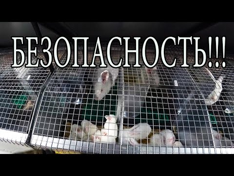 Видео: НЕ ЗАБЫВАЙТЕ ОБ ЭТОМ!
