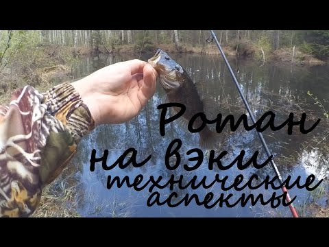 Видео: Ловля ротана на вэки - технические аспекты ловли