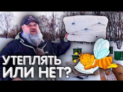 Видео: УТЕПЛЯТЬ, или НЕ УТЕПЛЯТЬ пчёл в зиму? [2/4] Зимовка пчёл на улице.