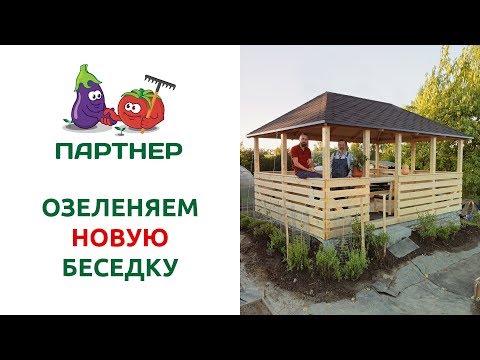 Видео: ОЗЕЛЕНЯЕМ НОВУЮ БЕСЕДКУ