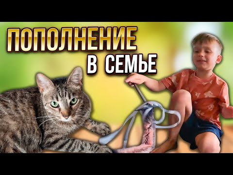 Видео: У нас пополнение в семье!