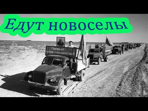 Видео: Едут новоселы !