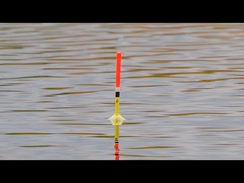 Видео: РЫБАЛКА НА КАРАСЯ В АПРЕЛЕ! Рыбалка на маховую удочку на поплавок! Поклевки крупным планом!