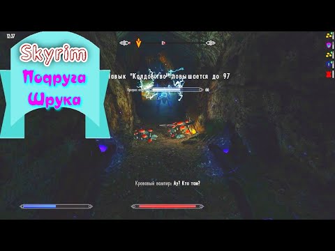 Видео: Skyrim.  Прохождение.  Героиня Подруга Шрука.  Выдержка из прохождения.  Солитьюд.   ИгроБорода