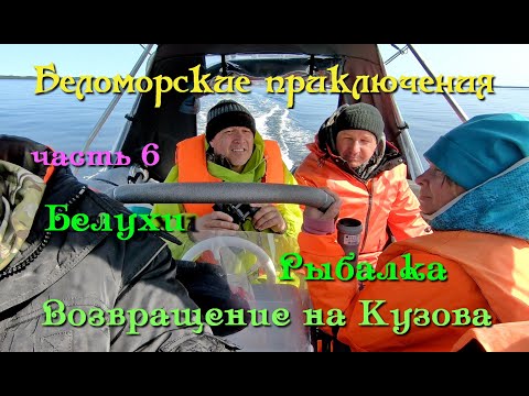 Видео: Беломорские приключения с друзьями / часть 6-я / Белухи / Возвращение на Кузова / Рыбалка