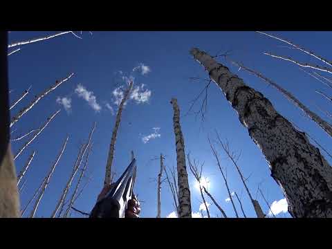 Видео: Весенняя охота на селезня!!! Охота на уток в лесу!!! Отличные налеты!!! МР-27М