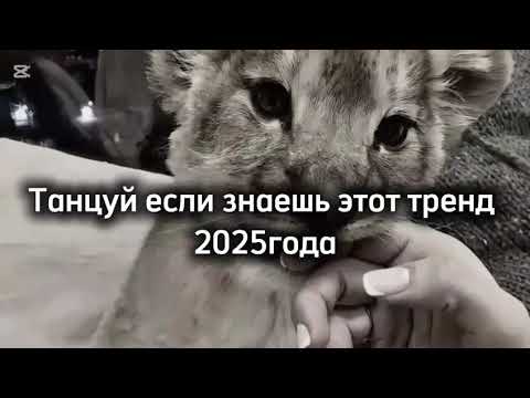Видео: Танцуй если знаешь этот тренд 2025 года🫰