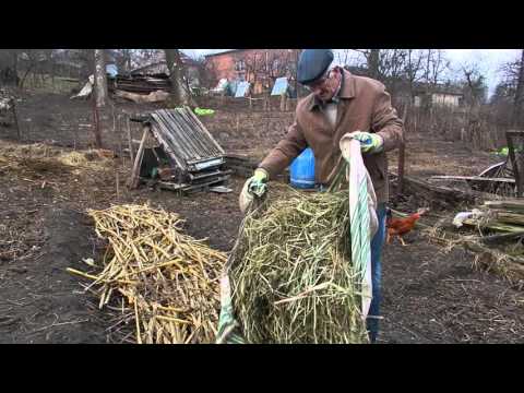 Видео: Уход весной за осенней "Теплой грядкой Розума" # 2
