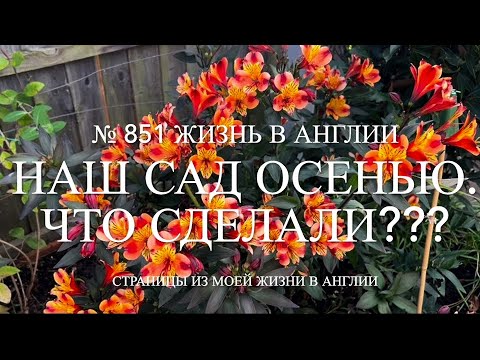 Видео: Наш сад осенью. Что сделали в саду? № 851 Жизнь в Англии