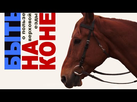 Видео: Быть на коне/О пользе верховой езды.