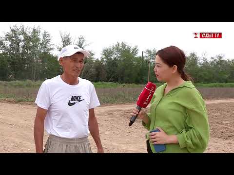 Видео: МӘСЕЛЕ: ЖЕТІСАЙЛЫҚ ШАРУАЛАР ЖАНАЙҚАЙЫН ЖЕТКІЗДІ
