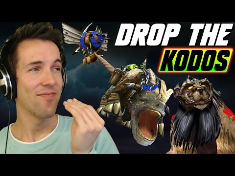 Видео: Это был один из ЛУЧШИХ ИГРОКОВ, с которыми я сталкивался в Battlenet!