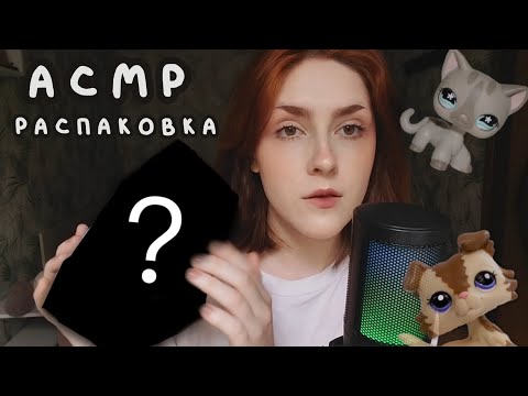 Видео: АСМР большая распаковка lps с алиэкспресс 🥳 (рандомный набор)