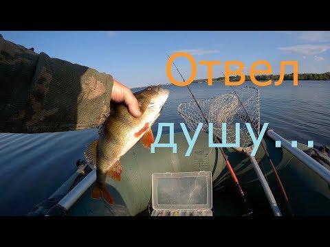 Видео: ЩУКА на ВОБЛЕР.  Отвел душу !...  ( ...и снова   ZipBaits  RIGGE 90F ).