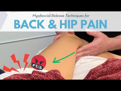 Видео: Учебное пособие по массажу приводящих мышц: пальпация мышц и миофасциальный релиз — медицинский м...