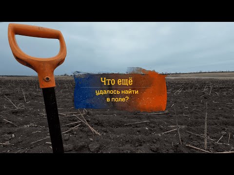 Видео: Что ещё удалось найти в поле?