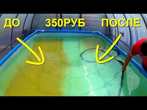 Видео: 350 рублей и Бассейн чистый!