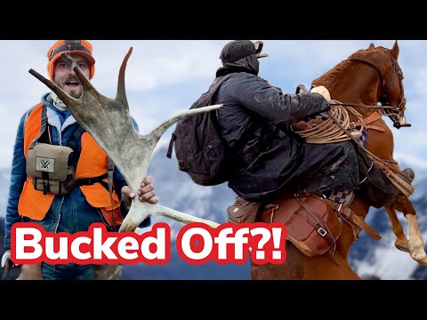 Видео: Вьючный мул убежал с нашим снаряжением! Самое сложное путешествие в нашей жизни!