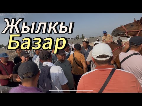 Видео: Базар Коргон жылкы базары 27 июля 2025 г.