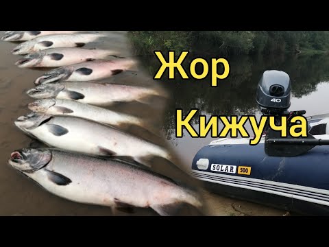 Видео: Жор КИЖУЧА! Супер рыбалка! / Сахалинская рыбалка & Sakhalin fishing