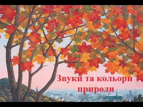 Видео: 2 клас, тема "Звуки та кольори природи" (образотворче мистецтво)