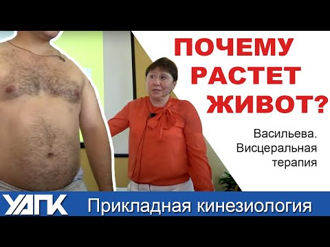 Видео: Лечим Внутренние органы. Висцеральная терапия от Васильевой