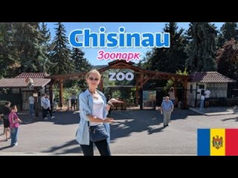 Видео: Крутезный зоопарк Кишинева.