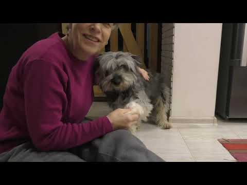 Видео: Ночка - удивительная собачка. Январь 2024