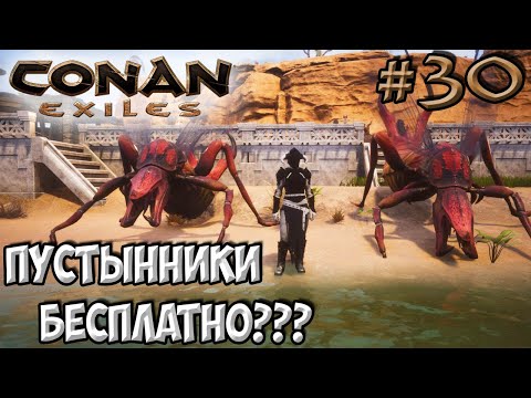 Видео: Conan Exiles #30 ☛ Где найти бесплатных детенышей пустынника ✌