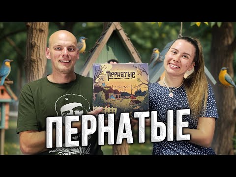 Видео: Пернатые - Играем в настольную игру