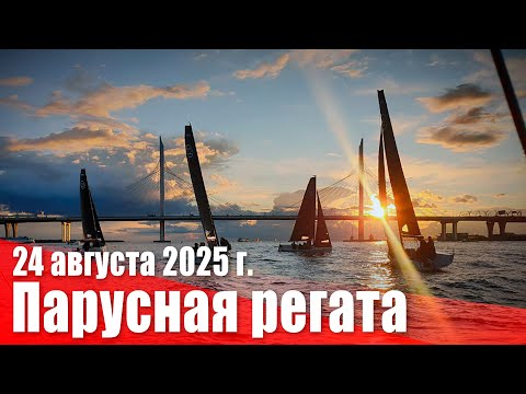 Видео: Парусная регата в акватории Финского залива. 24 августа 2025 г.