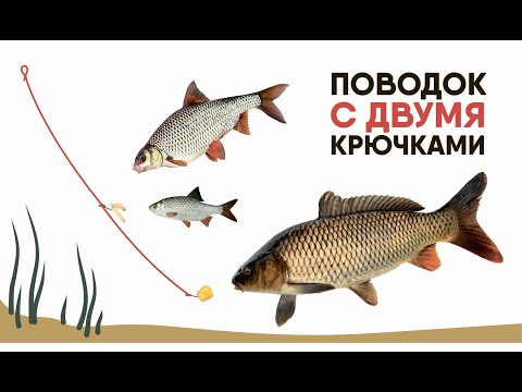 Видео: Поводок с Двумя Крючками! Все плюсы и минусы!