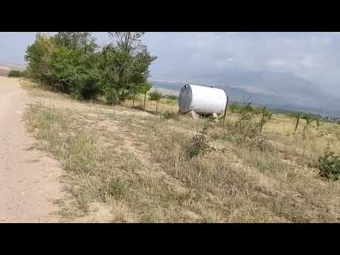 Видео: Экскурсия-1 Токтогул, Тегерек талаасы.