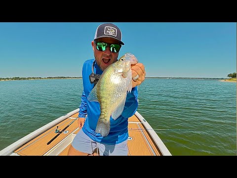 Видео: 🐟Насколько они мелкие? Texoma Fall Crappie‼️