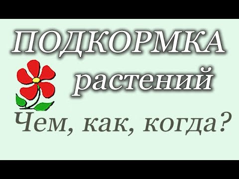 Видео: Подкормка растений: чем, как, когда? Системный подход. Подробно.