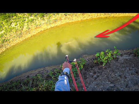 Видео: ТОЛСТОЛОБ СУ БЕТІНДЕ ЖҮР, РОГАТКАМЕН ОХОТА