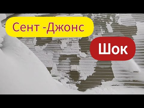 Видео: Снежный шторм в Ньюфаундленд.