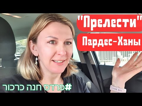 Видео: Я тут живу 12 лет! Почему я люблю Пардес-Хану? #Израиль