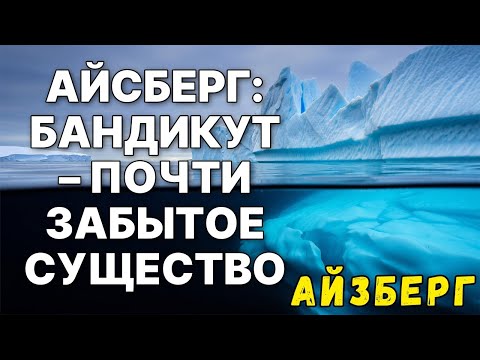 Видео: Айсберг ВЫМЕРШИХ животных :  Самые загадочные вымершие животные