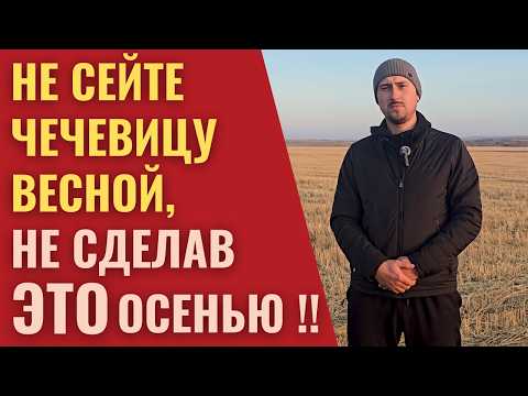 Видео: "ПРАВИЛЬНАЯ" осенняя обработка почвы под посев чечевицы