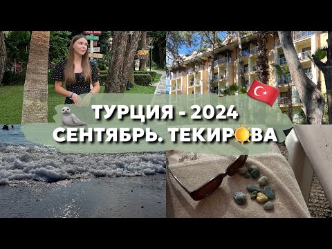 Видео: ТУРЦИЯ-2024 | ТЮЛЕНИЙ ОТДЫХ В СЕНТЯБРЕ | ОТЕЛЬ ARMAS KAPLAN PARADISE
