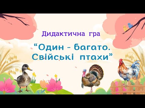 Видео: Дидактична гра "Один-багато. Свійські птахи"