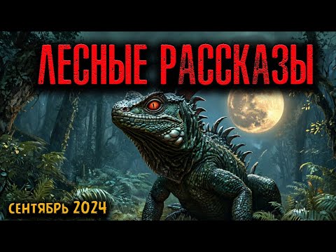 Видео: ЛЕСНЫЕ РАССКАЗЫ | Страшные истории