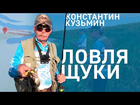 Видео: Ловля щуки на волго-ахтубинской пойме | Константин Кузьмин