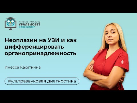 Видео: Неоплазии на УЗИ и как дифференцировать органопринадлежность , лектор Инесса Касаткина