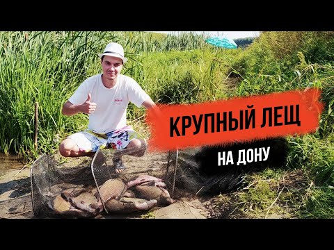 Видео: Ловля крупного леща на Дону. Рыбалка в Липецкой области
